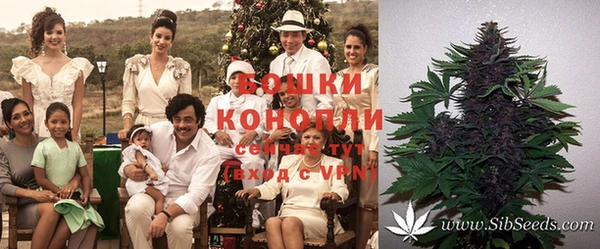 прущая мука Михайлов