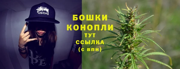 тгк Мегион