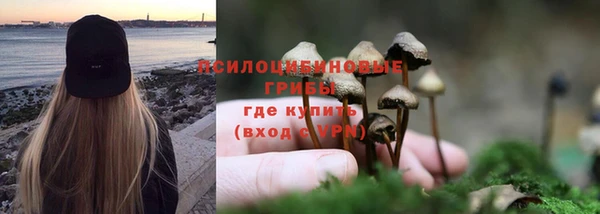прущий лед Медногорск