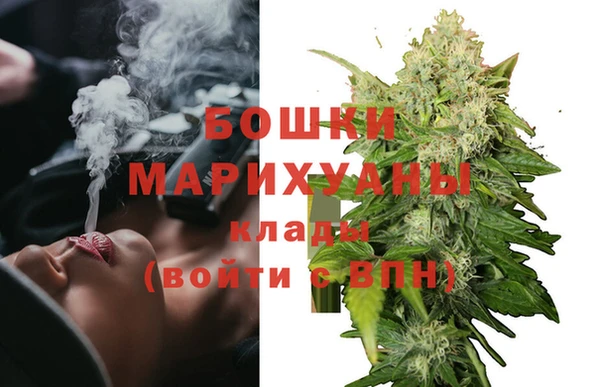 тгк Мегион