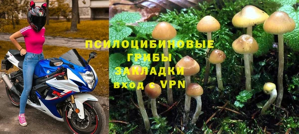 меф Медвежьегорск