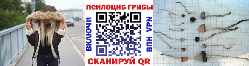 Псилоцибиновые грибы ЛСД  Мелеуз 