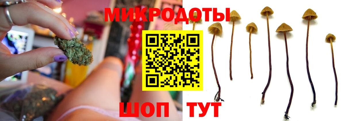 Псилоцибиновые грибы Cubensis  Вход с VPN  Мелеуз 